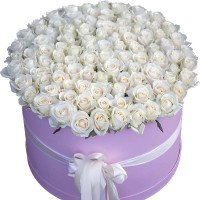 101 white rose Code-9565