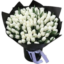 Наталі Код-9620