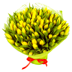 Санрайз Код-9627