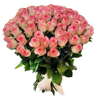 101 rose Jumilia Code-9707