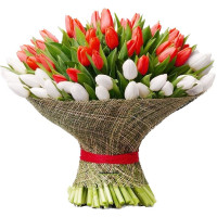 Монако Код-9633