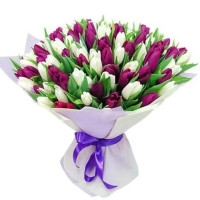 Майами Код-9642