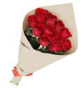 Red Eagle code-9641