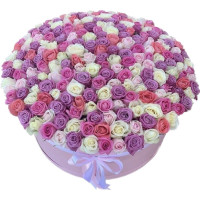 151 roses in a box Code-9600