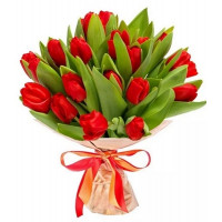 Красные тюльпаны  Код-9628
