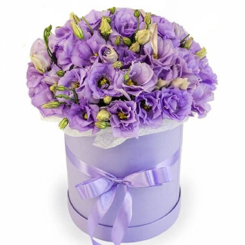 Eustoma in a box Code-9689