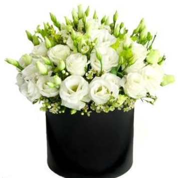 Eustoma in a box Code-9688
