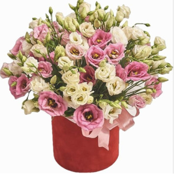 Eustoma in a box Code-9690