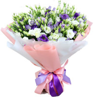 Cindy Code-9706