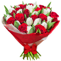 Дуэт Код-9647