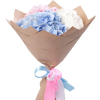Hydrangeas Code-9676