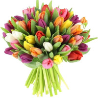 Карпати Код-9625