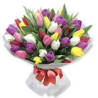 Камелия Код-9637