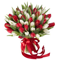 Балтика Код-9617