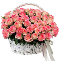 Jumilia Code-9648