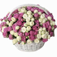 Harmony Code-9694