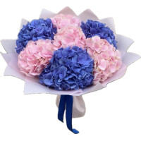 Hydrangeas Code-9677
