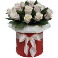 Talea Code - 7478