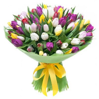 Glade of tulips Code-9630