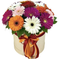 Фиджи Код-8472