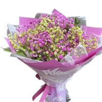 Gypsophila Code - 9562