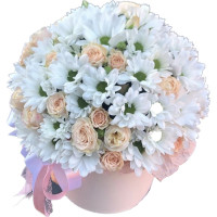 Nicole Code - 9703