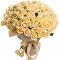 101 rose Avalanche Peach Code - 3426