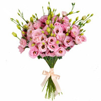 Eustoma Code-9578