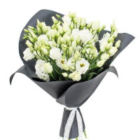 Eustoma Code-9579