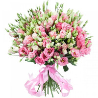 Eustoma Code-9581