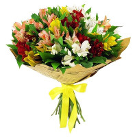 15 Alstroemeria Code-8459