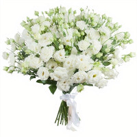 Eustoma Code-9582