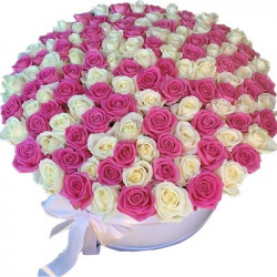 111 roses in a box Code-4496