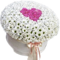Love Code-9570