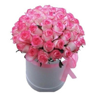 Jumilia code-5318