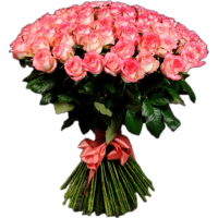 51 rose Jumilia Code-9765