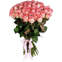 35 roses Jumilia Code-9751