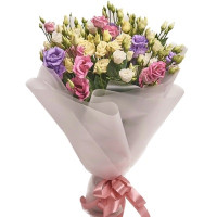 Eustoma Code-9583