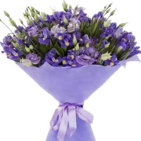 Eustoma Code-9593