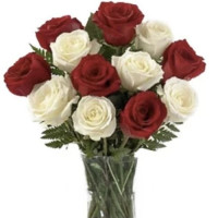 With love Code - 2389
