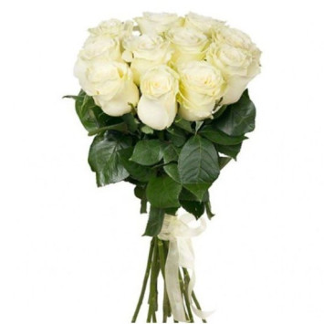 Roses Mondial Code - 0165
