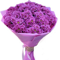 Pink Code-9569