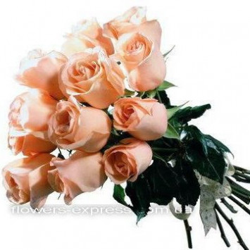 Stunning peach roses Code - 0015