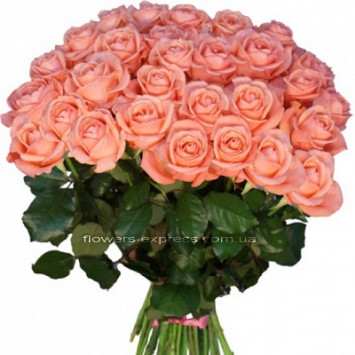 Roses for the Queen Code - 0085