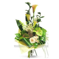 Ornella Code - 0111