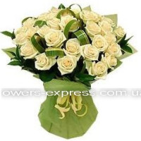 Tenderness Code - 0209