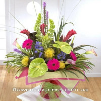 Florence Code - 0501
