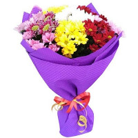 Версаль Код-0583