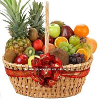 Tropical Code - 0662