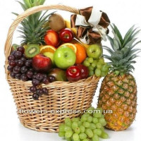 Sophistication Code - 0674